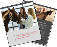 Equine Case Study Cover