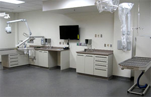 Dental Suite