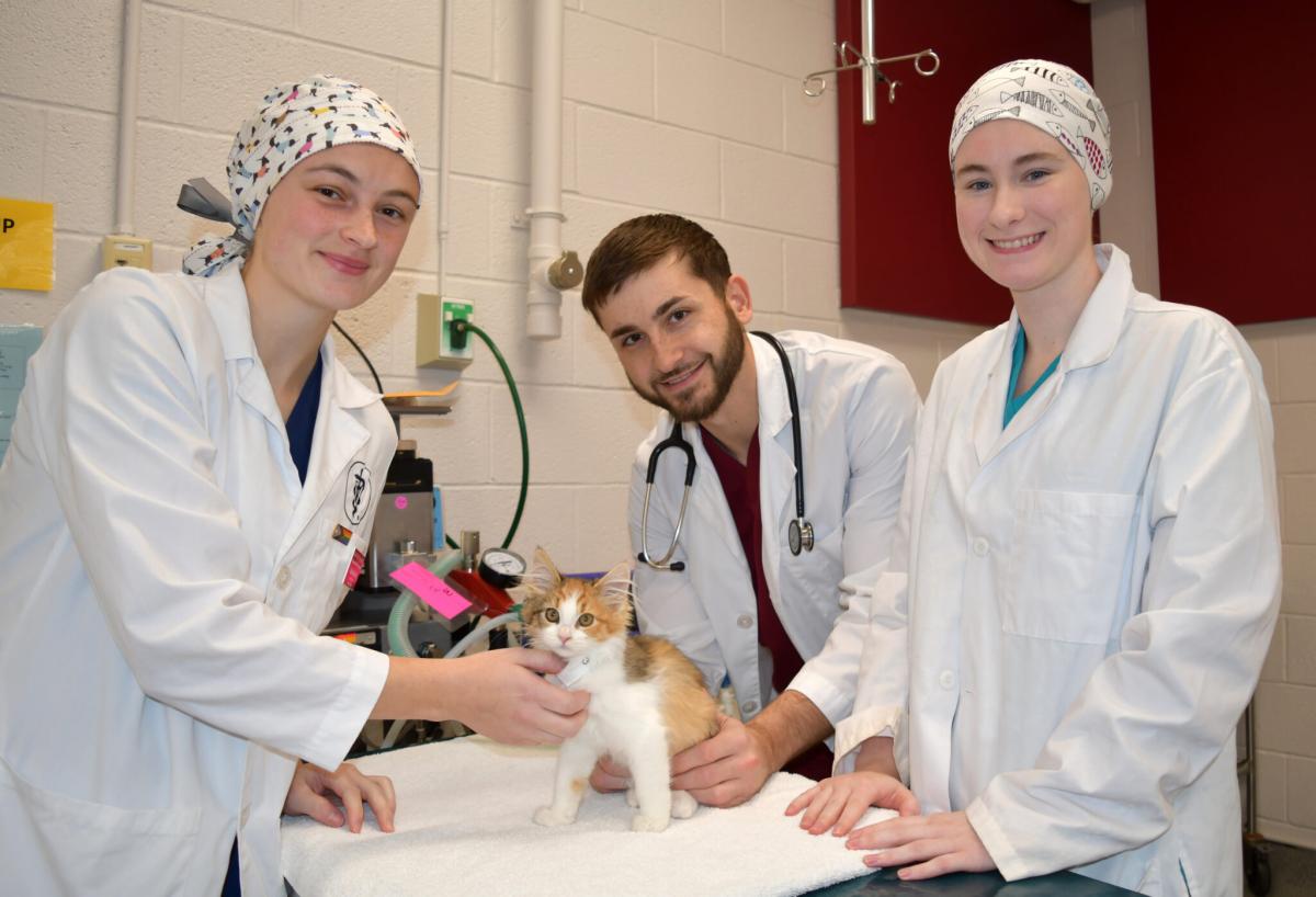 5,000 patient with veterinary students